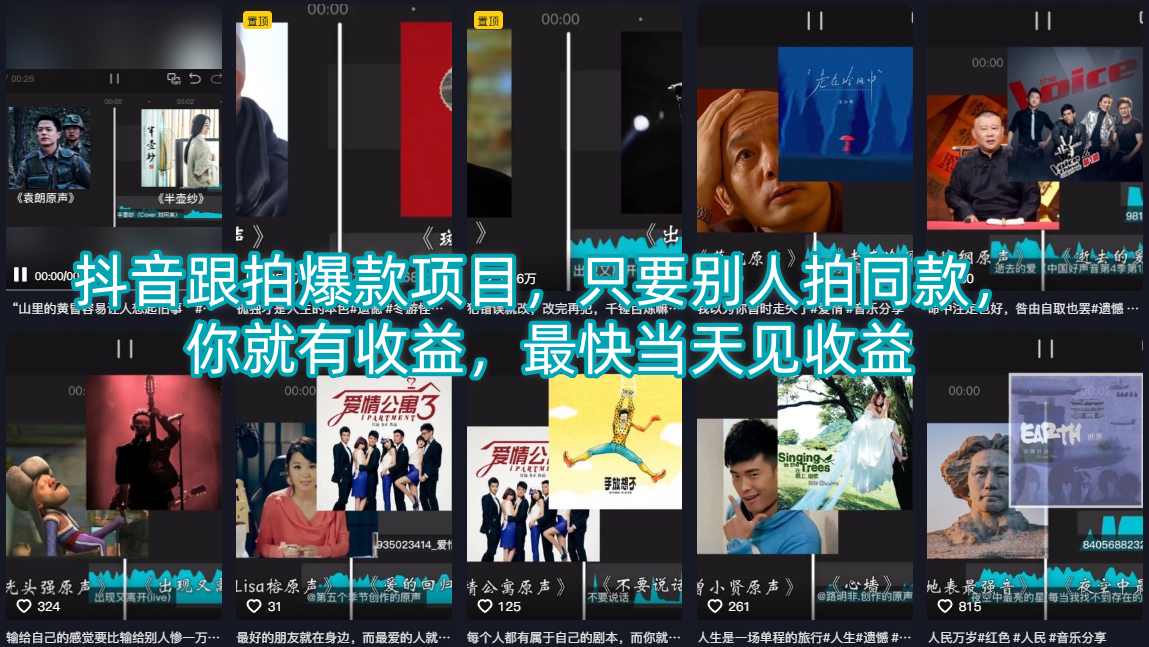 抖音爆款跟拍项目，跟拍热门视频即可盈利，快速收益当天到账-资源项目网