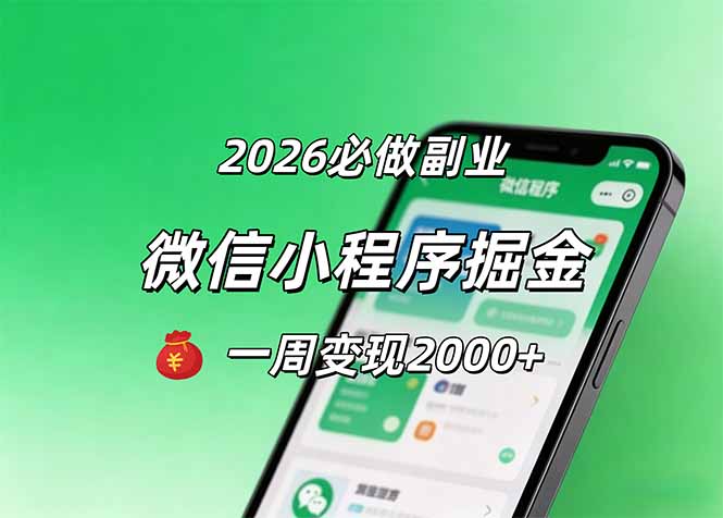 2026年微信小程序快速入门，一周内实现2000元收益-资源项目网