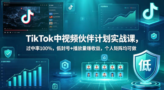 TikTok视频伙伴计划实战课：100%通过率，低风险+高收益，个人矩阵操作指南-资源项目网