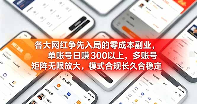 网红争相尝试的零成本副业，单账号日赚300+，多号矩阵可放大，模式合规稳定！-资源项目网