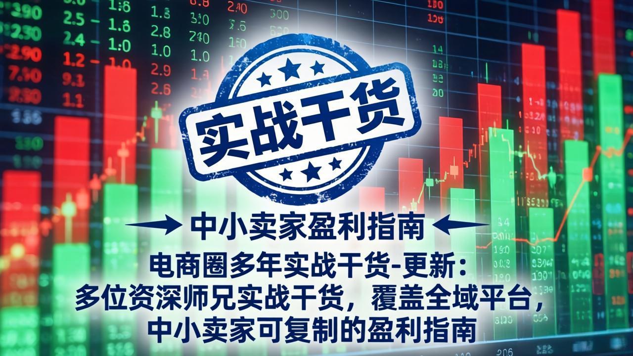 电商圈实战干货更新：5月10日，资深师兄分享盈利指南，适用于全域平台，助力中小卖家复制成功-资源项目网