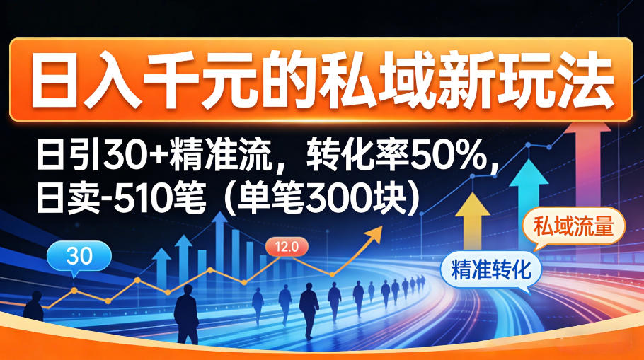 日入千计私域新策略：每日吸引30+精准流量，转化率50%，单笔销售额达300元-资源项目网
