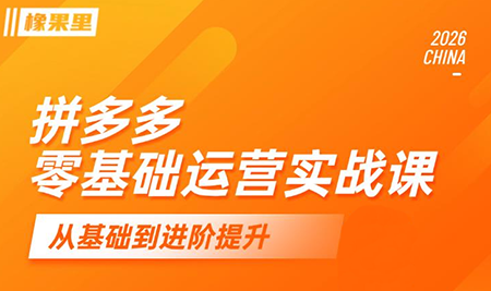 拼多多电商零基础运营实战课程-资源项目网