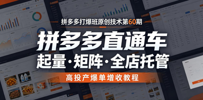 拼多多直通车起量、矩阵运营与全店托管高投产爆单增收教程-资源项目网