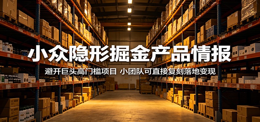 小团队如何避开巨头门槛，复刻小众隐形项目实现变现-资源项目网