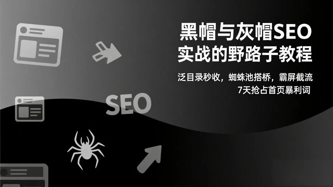 黑帽与灰帽SEO实战教程：泛目录秒收，蜘蛛池搭桥，霸屏截流，7天抢占首页暴利词-资源项目网
