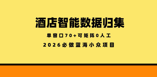 酒店智能数据归集:小众蓝海稳定半年,单窗口70+零成本矩阵操作揭秘-资源项目网