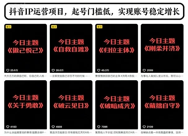 抖音IP运营项目:今日主题玩法,低门槛起号,助力账号稳定增长-资源项目网
