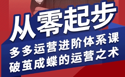 拼多多运营进阶系统课：从零到精通，掌握进阶运营技巧-资源项目网