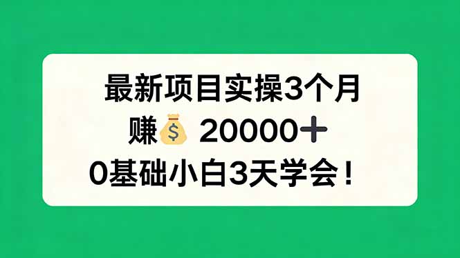 3个月掌握最新项目，零基础小白3天学会，月入20000+-资源项目网