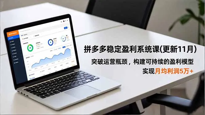 拼多多盈利系统课程（更新至11月）-资源项目网