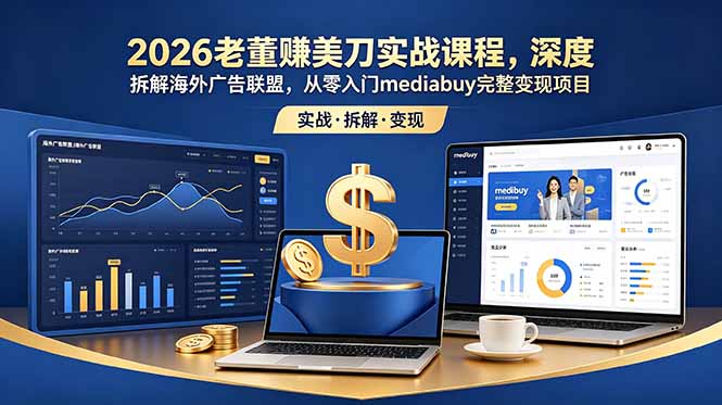 2026老董赚美刀实战课程：深度解析MediaBuy变现策略，从零开始打造海外广告联盟-资源项目网