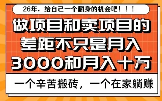 揭秘：为何卖项目轻松月入10万，而做项目却赚不到钱？-资源项目网