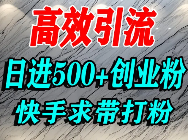 如何吸引创业粉?快手精准引流宝妈、学生群体,日增500+精准流量-资源项目网