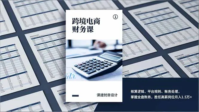 跨境电商财务课程：掌握核算逻辑、平台规则与账务处理，月入1.5万+胜任高薪岗位-资源项目网