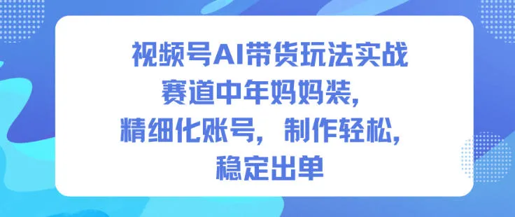 视频号AI带货实战指南:年妈妈装赛道,精细化运营与高效出单技巧-资源项目网