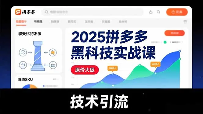 2025拼多多黑科技实战课：擎天柱玩法、爆流SKU、原价大促，技术引流，单店日销轻松破千单-资源项目网