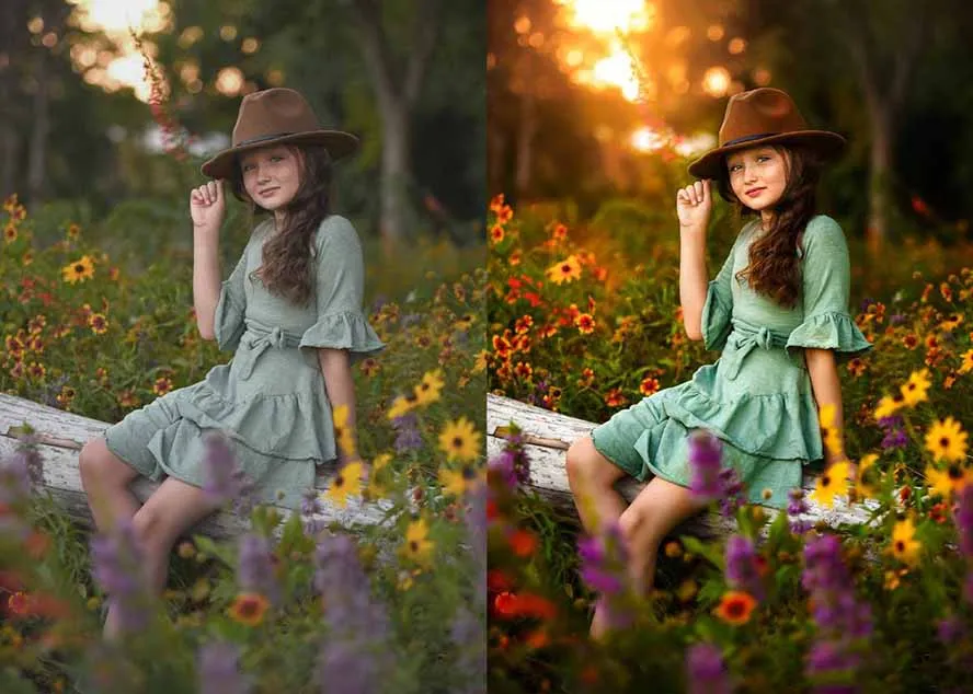 图片[11]-大师级GTG出品：老友记系列AI自适应预设The Friends Preset Collection-资源项目网