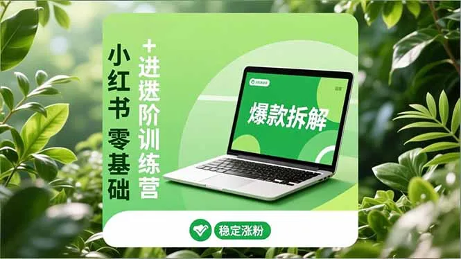 小红书零基础到高阶运营：安全养号、爆款策略、长效变现，助力稳定粉丝增长与收益提升-资源项目网