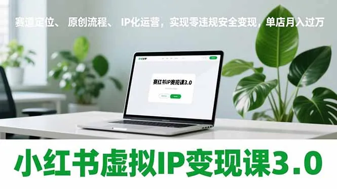 小红书虚拟IP变现课程3.0：赛道定位、原创流程与IP化运营，实现零违规安全变现，单店月入过万-资源项目网