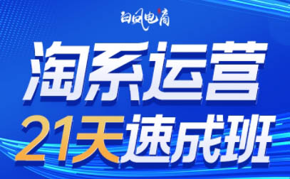 白凤电商·淘系运营21天速成班(更新至4月)-资源项目网