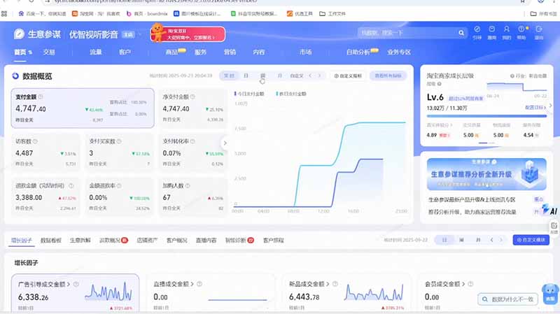 图片[3]-淘宝VIP特训课：蓝海选品+付费投放，短视频AI运营，大促起爆全流程，破解店铺流量与利润难题-资源项目网