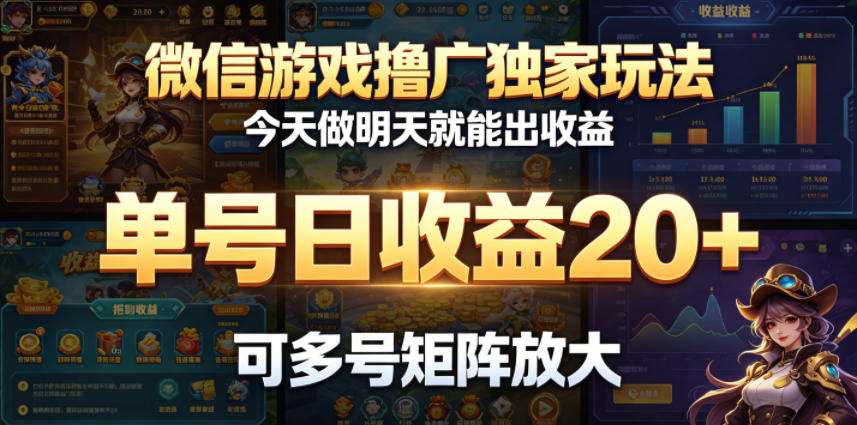 微信游戏独家玩法，今日操作明日收益，单号日赚20+，多号矩阵放大收益-资源项目网