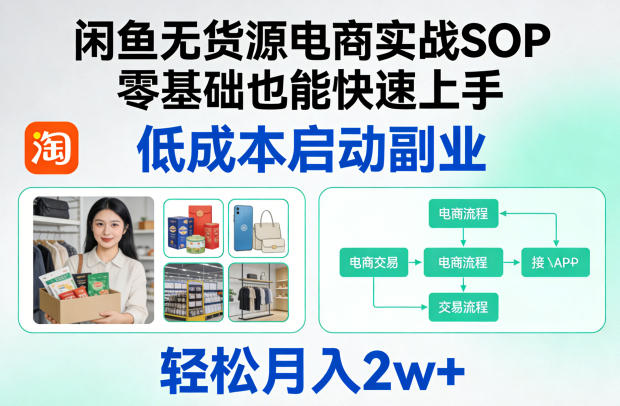 无货源电商实战SOP：零基础快速上手，低成本启动副业，轻松月入2万+-资源项目网
