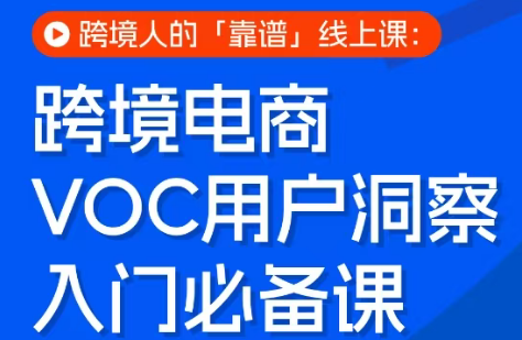跨境电商VOC用户洞察入门课程-资源项目网