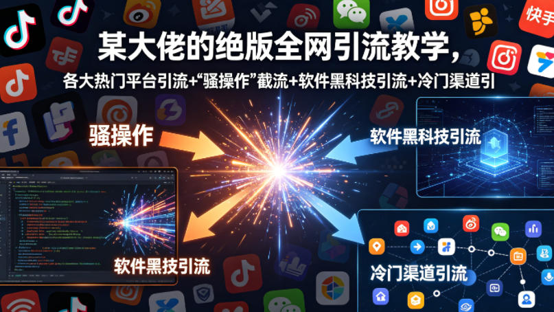 全网引流秘籍：某大佬独家绝版教程，热门平台引流技巧-资源项目网