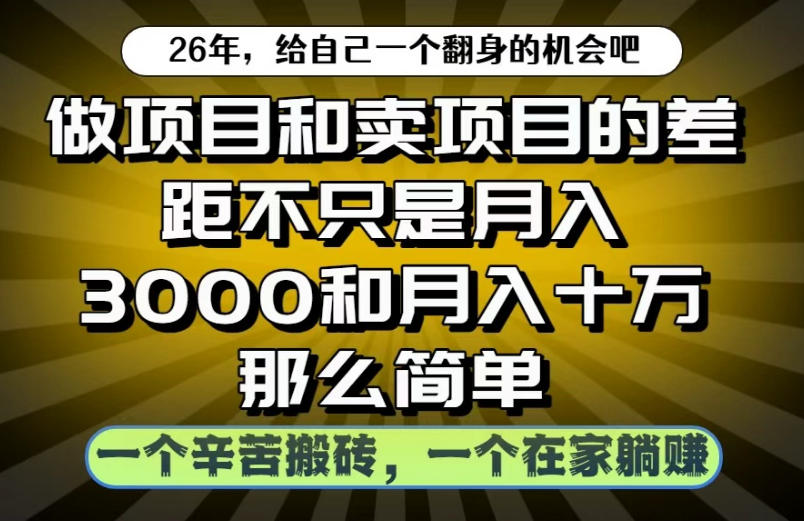 揭秘：项目操作与项目销售的月入差异，努力者与躺赚者的真相-资源项目网
