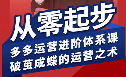 拼多多运营进阶系统课程（更新至2026）-资源项目网