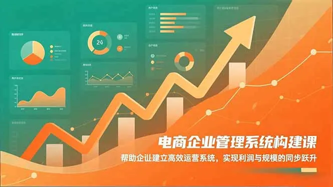 电商企业管理系统构建课程：助力企业高效运营，实现利润与规模同步增长-资源项目网