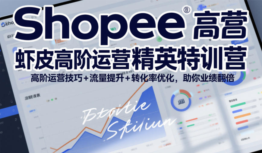 Shopee虾皮高阶运营技巧特训营:提升流量与转化率,业绩翻倍秘籍(更新至2026年5月)-资源项目网