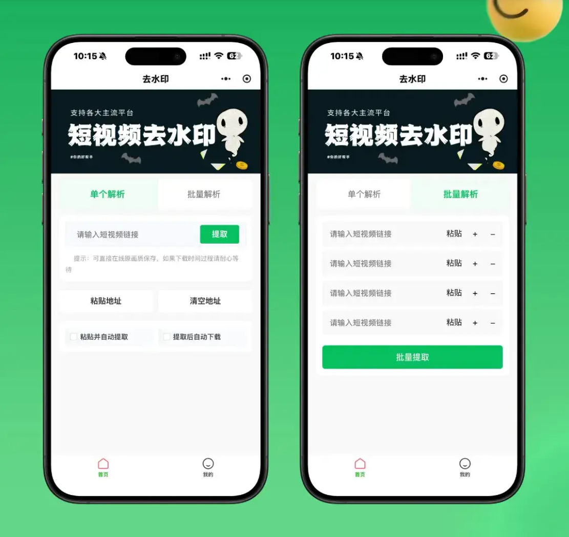 2026最新去水印小程序源码 v1.6.5 带流量主-资源项目网