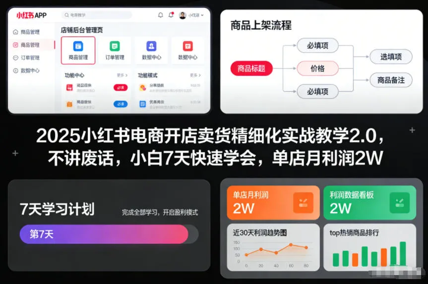 2025小红书电商开店卖货精细化实战教学2.0，7天小白快速学会，单店月利润2W-资源项目网