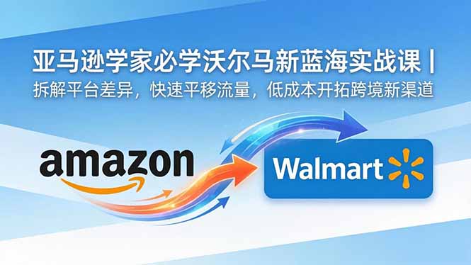亚马逊卖家必学：沃尔玛新蓝海实战课程，揭秘平台差异，快速引流，低成本拓展跨境新渠道-资源项目网