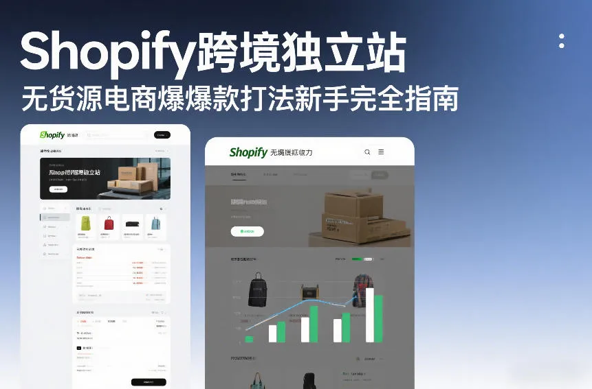 Shopify跨境独立站无货源电商新手指南：爆款打法完全手册-资源项目网