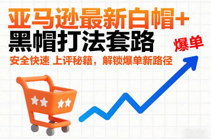 亚马逊白帽黑帽打法技巧：安全快速上评，解锁爆单新路径-资源项目网
