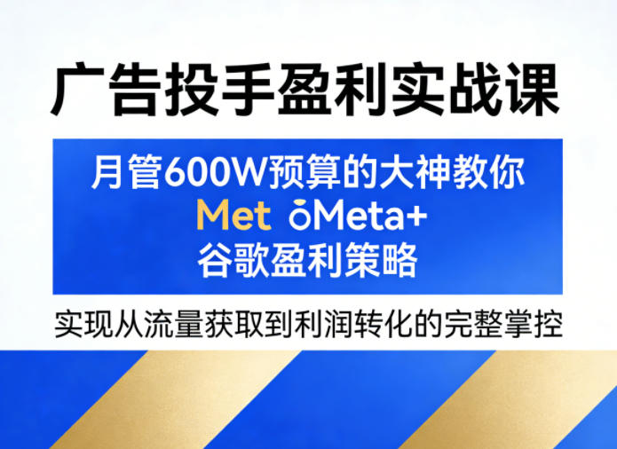 广告投手盈利实战课：月管600W预算的大神教你Meta+谷歌盈利策略，实现流量获取到利润转化的完整掌控-资源项目网