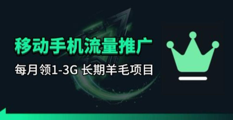 手机流量领取推广：每月一次，长期刚需项目-资源项目网