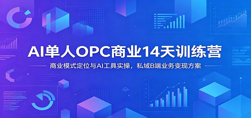 AI单人OPC商业14天训练营：掌握商业模式定位与AI工具实操，私域B端业务变现方案-资源项目网