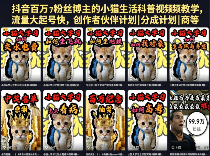 抖音百万粉丝博主小猫生活科普视频教程，快速吸粉与分成计划|商单|收徒等-资源项目网