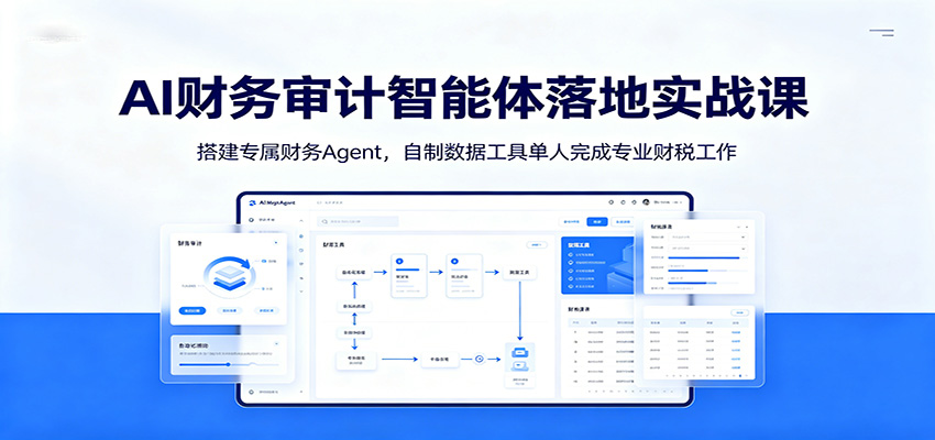 AI财务审计智能体实战课程：打造专属财务Agent，单人完成专业财税工作-资源项目网