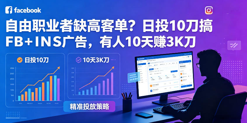 自由职业者如何通过日投10刀在FB和INS上吸引高客单价？10天赚3K刀的秘诀！【原创双语字幕】-资源项目网