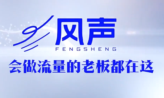 董十一风声短视频AI获客年度会员-资源项目网