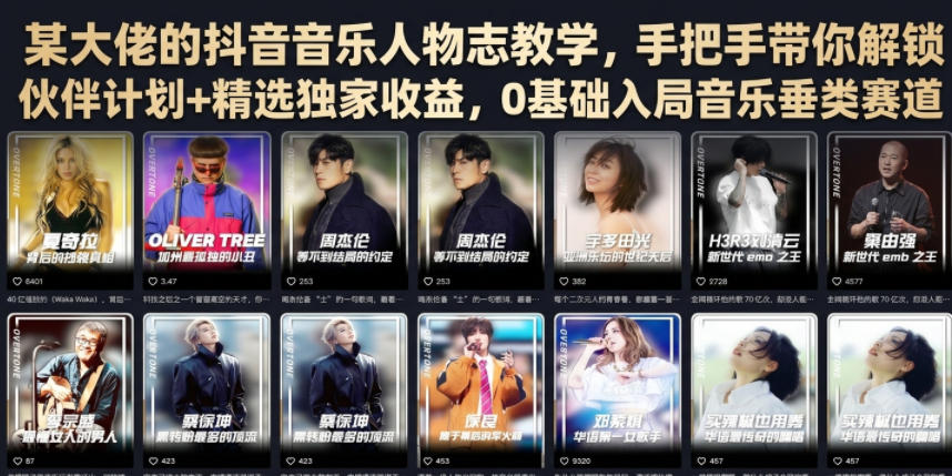抖音音乐人物志教学:手把手教你解锁伙伴计划+独家收益,0基础入局音乐垂类赛道-资源项目网