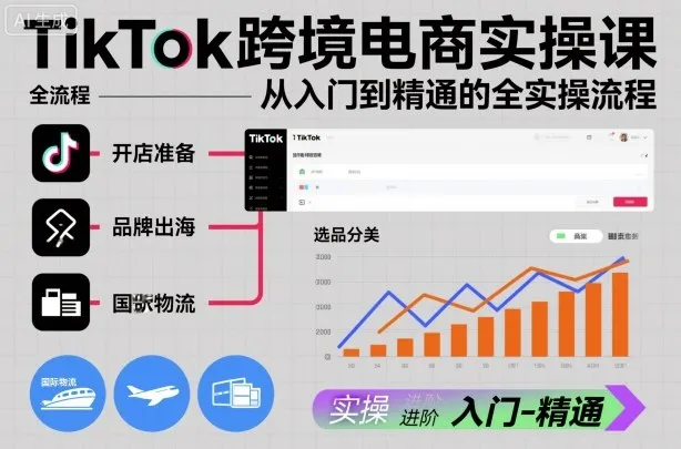 TikTok跨境电商入门到精通实操课程-资源项目网