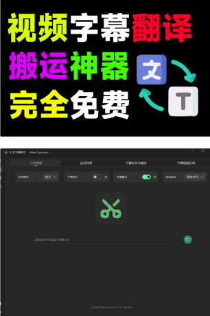 一键视频转录翻译，字幕同步，秒杀付费产品！-资源项目网