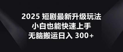 2025短剧最新升级玩法,小白也能快速上手,无脑搬运日入300+--第12张图片 2025短剧最新升级玩法,小白也能快速上手,无脑搬运日入300+--第12张图片